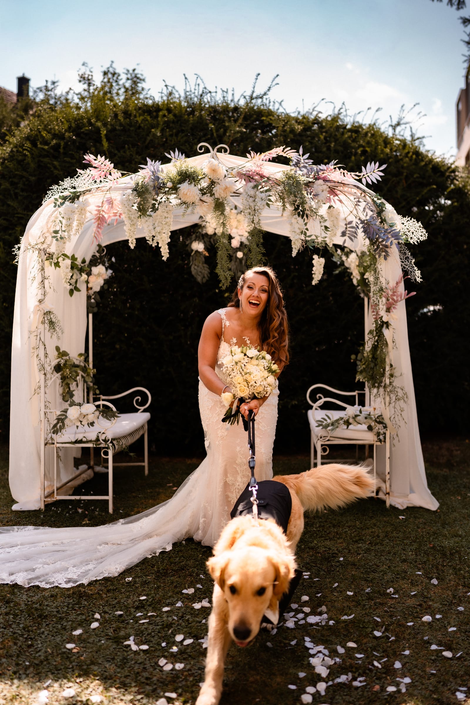 Golden Retriever als Ehrengast an der Hochzeit von Jessica & Patrick im B12 Chur