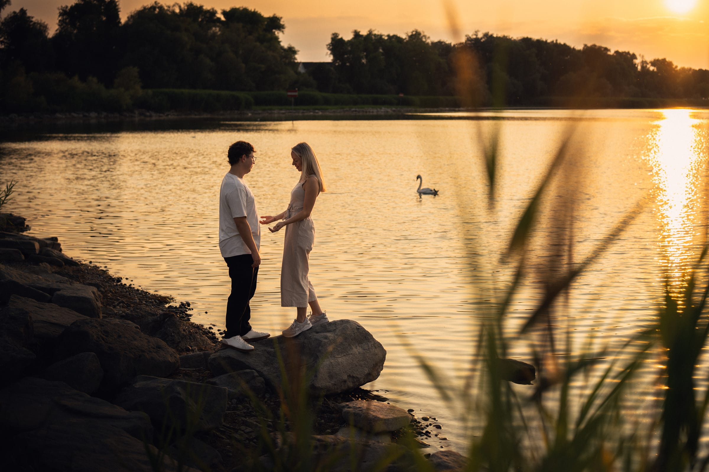 Natalie und Luca stehen auf einem Stein am Bodenseeufer, ein Schwan schwimmt daneben, die Sonne spiegelt sich im Wasser