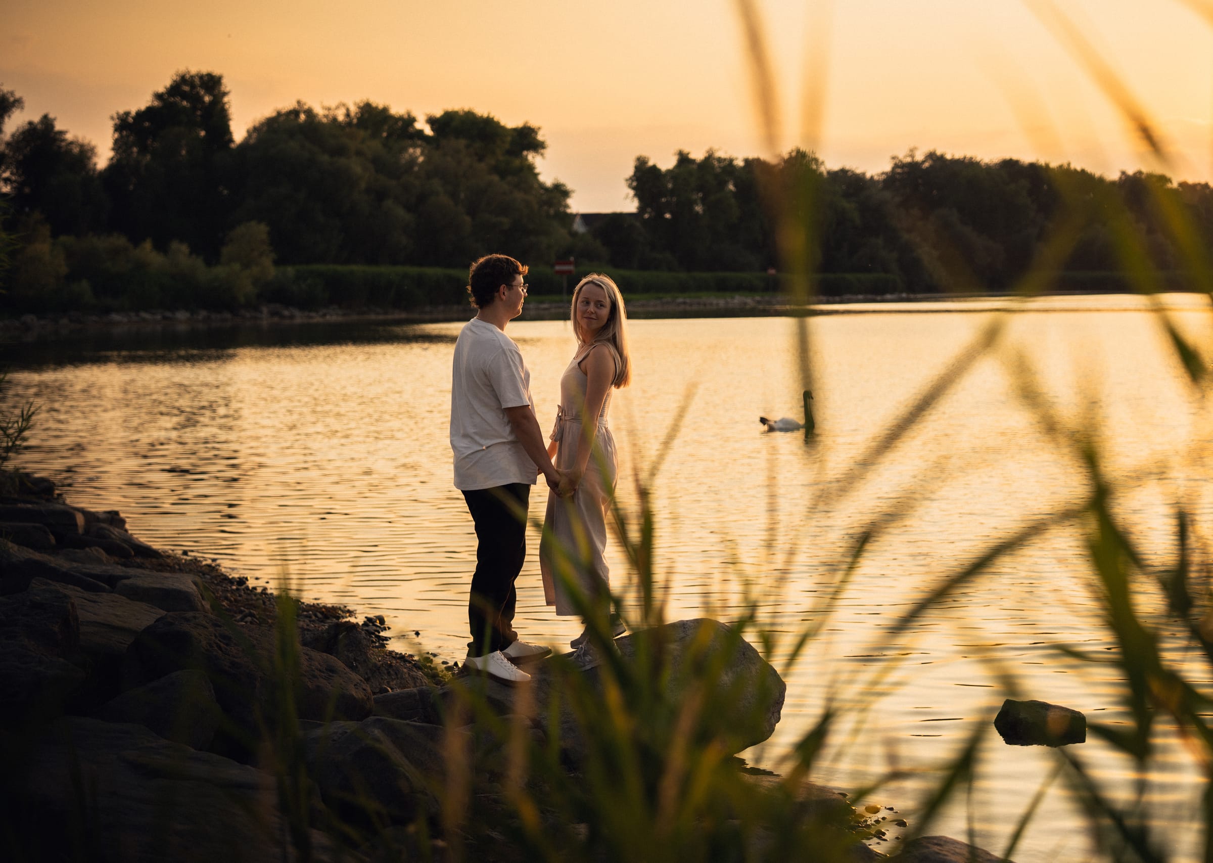 Natalie und Luca stehen zwischen Steinen und Schilf am Ufer des Bodensees, hinter ihnen ein Schwan
