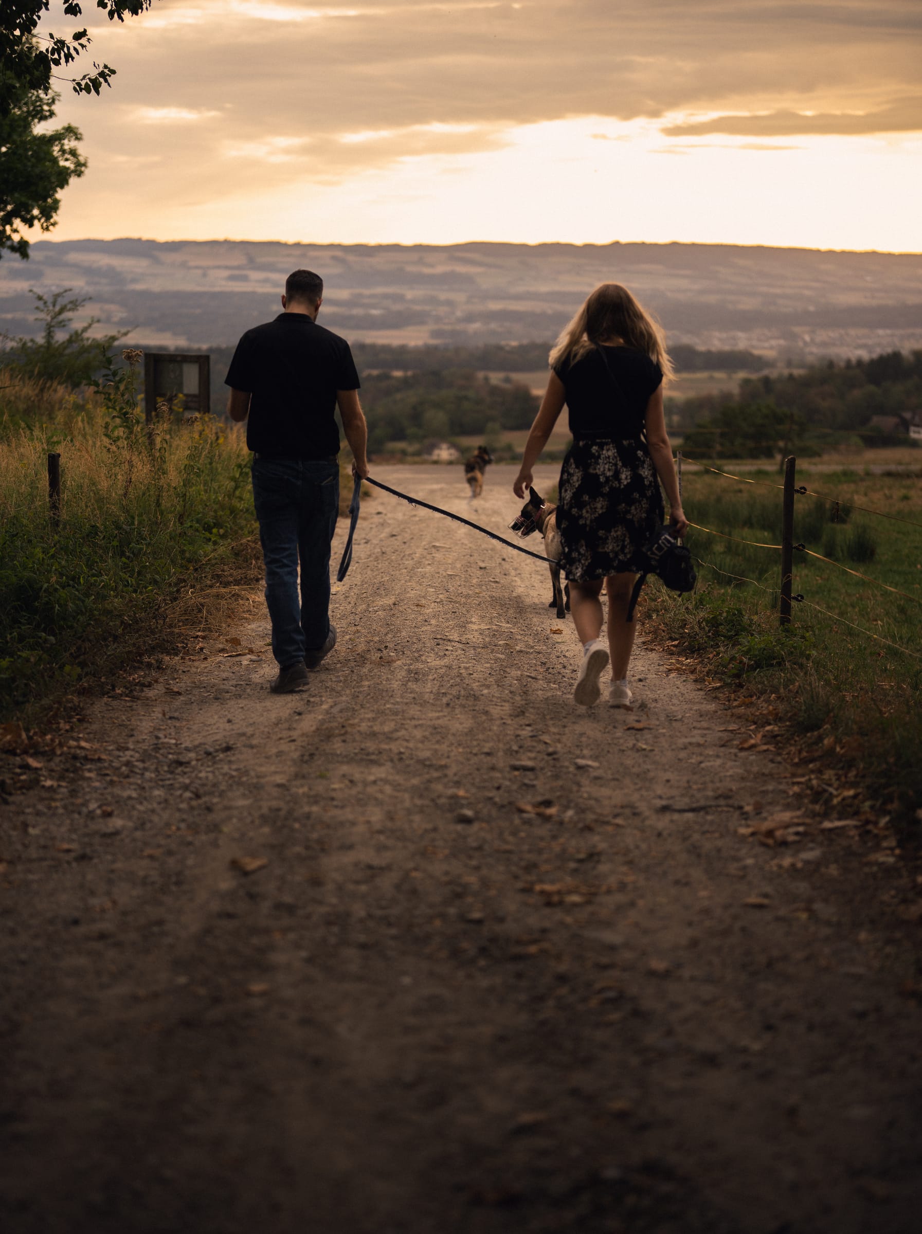 Martina und Stephan gehen mit den Hunden an der Leine einen Feldweg hinunter, vor ihnen der weite Blick über das Knonaueramt