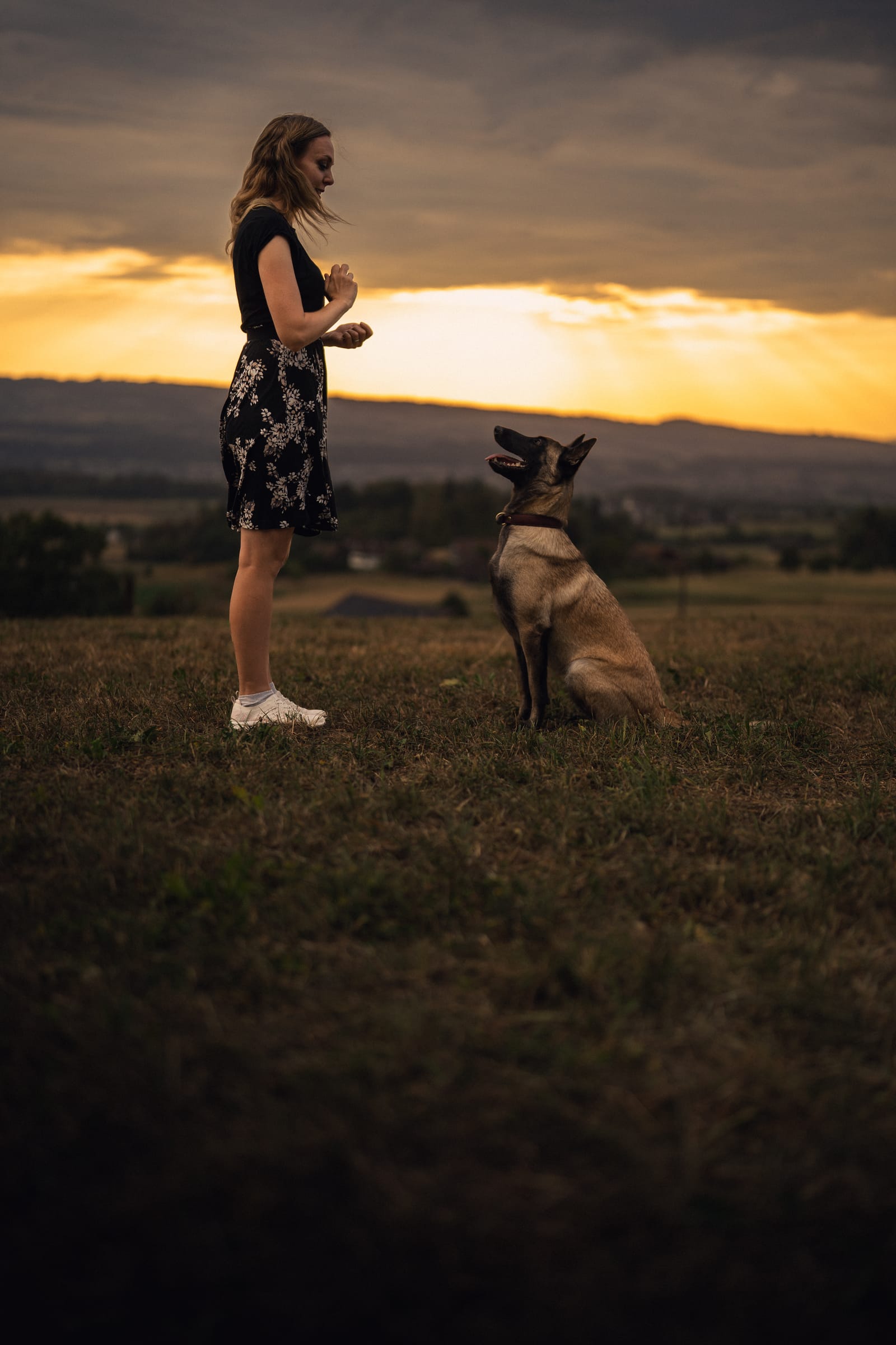 Martina trainiert mit der jungen Malinois-Hündin, die vor ihr sitzt, Abendrot über dem Knonaueramt