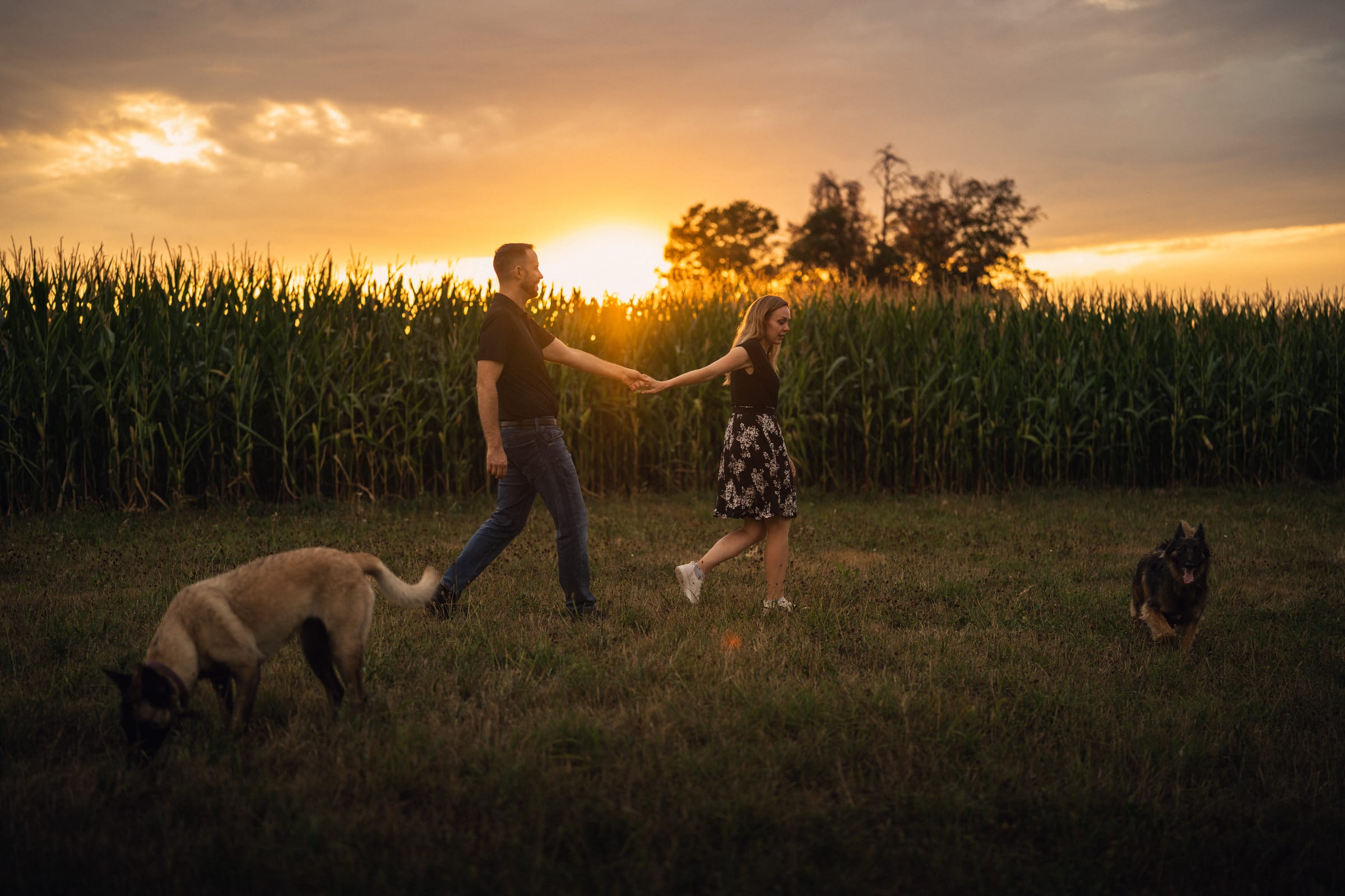 Martina und Stephan gehen Hand in Hand vor einem Maisfeld, die Sonne steht tief, beide Hunde laufen mit